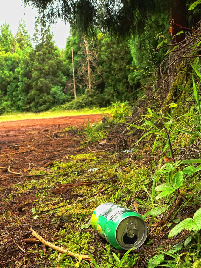 Fotografia de lata na floresta.