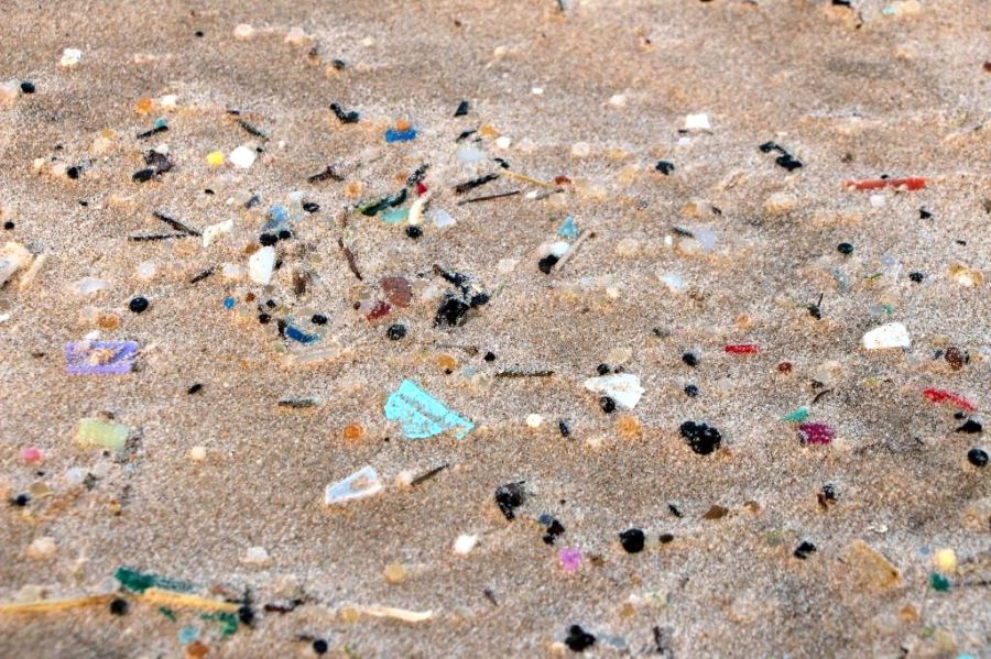 Pedacinhos de plástico que matam.