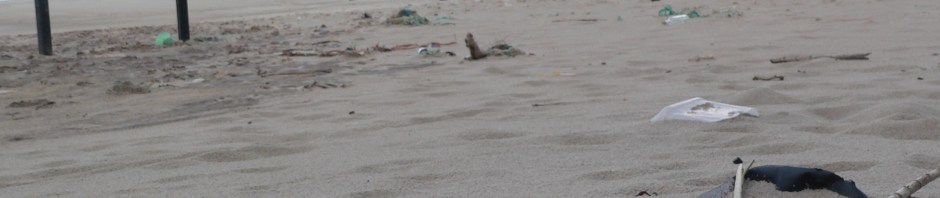 Limpeza em linha recta: um pequeno gesto, uma grande mudança