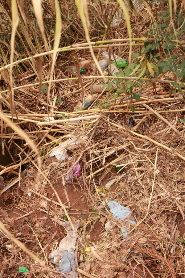 Ouzoud, Morocco: plastic waterfalls and olive farms