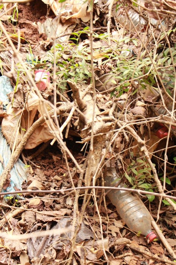 Ouzoud, Morocco: plastic waterfalls and olive farms