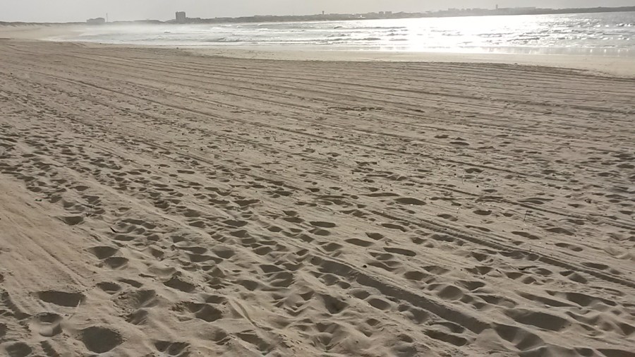Esta praia ao longe parece limpa, não?