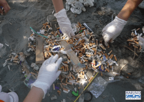 Imagem1-artigo guia beatas