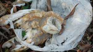 Encontrada em Gloucestershire